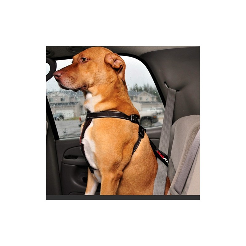 Attache-ceinture pour voiture Ezydog