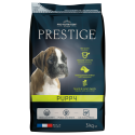 Prestige Puppy