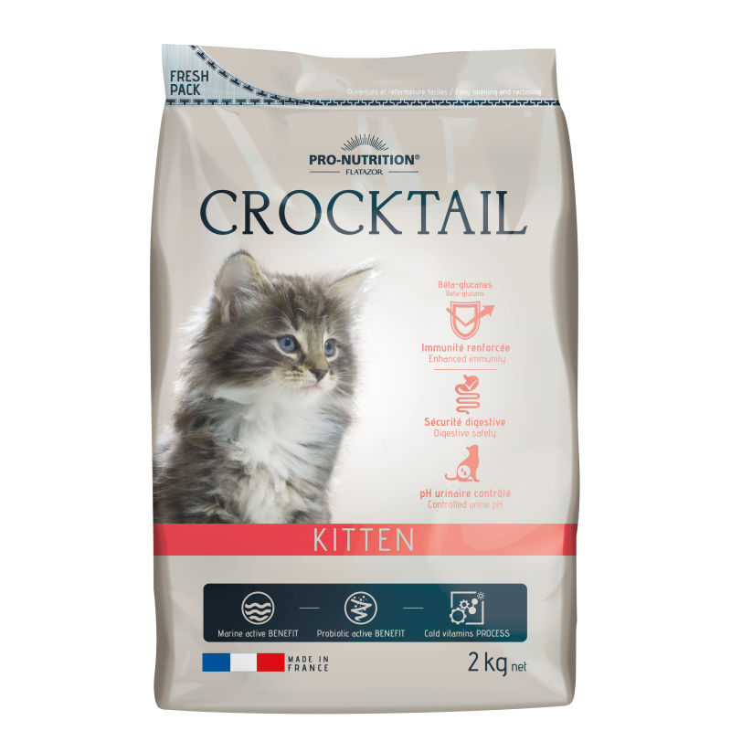 Crocktail Kitten