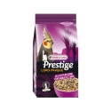 Premium Prestige Grande Perruche