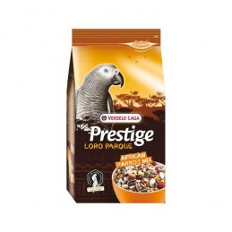 Prestige Perroquet Africain