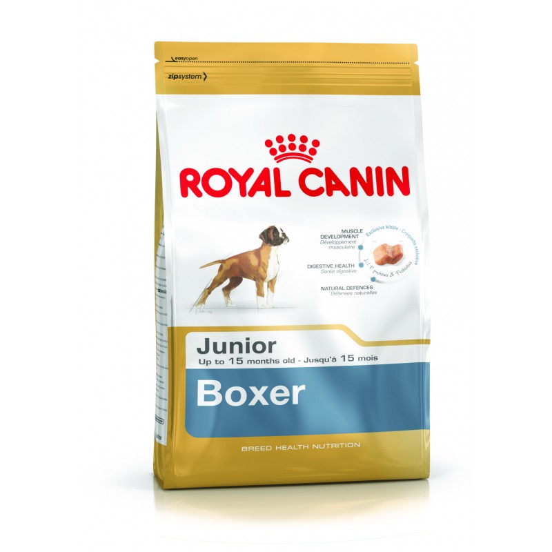 Boxer Junior