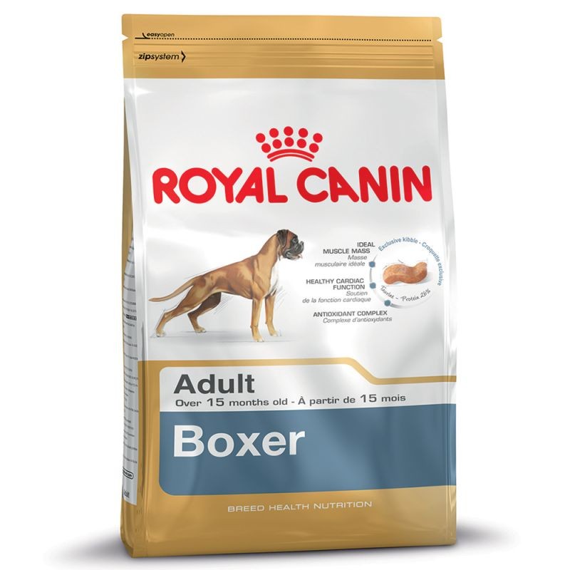 Boxer Adult