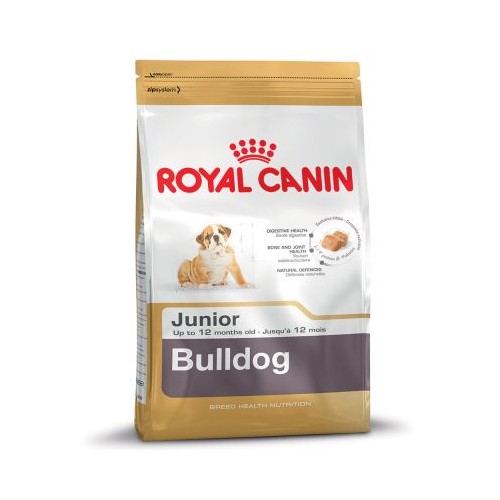 Bulldog Junior