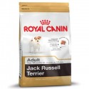 Jack Russell Terrier Junior