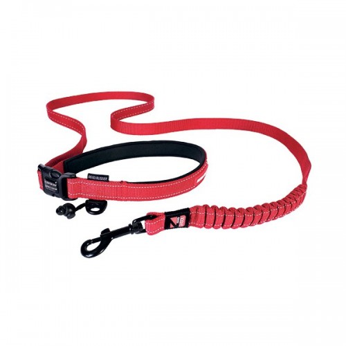 Laisse Ezydog Soft Trainer