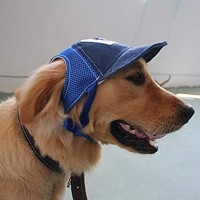 casquettes pour chien